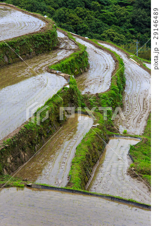 大中尾棚田 水張り風景 大中尾棚田 水張り風景 29146489