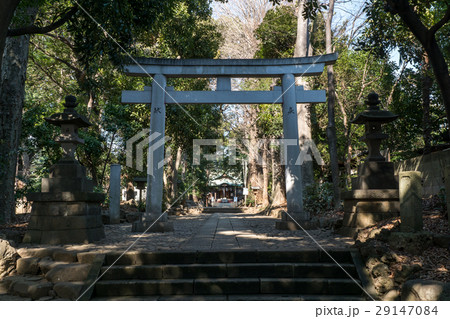 代々木八幡宮参道鳥居 29147084