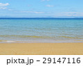 海 29147116