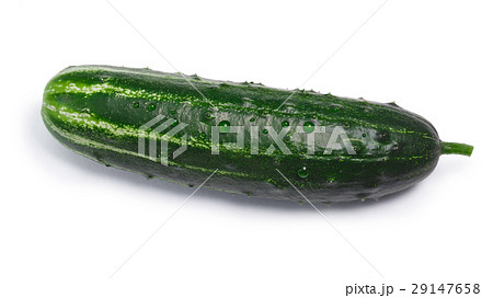 Cucumber, top view, paths Cucumber, top view, paths 29147658