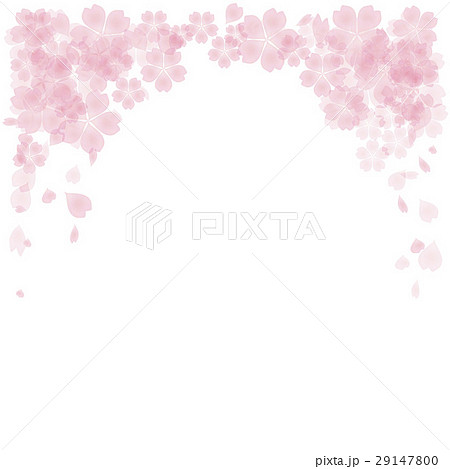 透明感のある桜 背景 フレーム 上部のイラスト素材