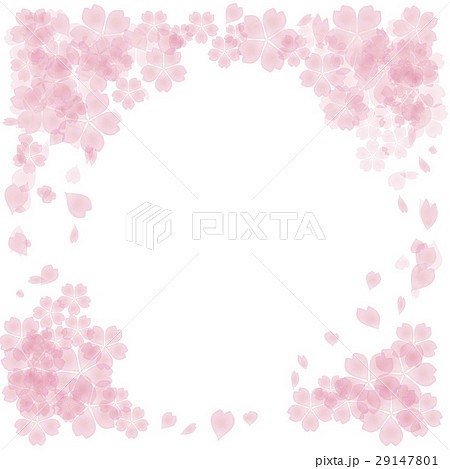 透明感のある桜 背景 フレーム 囲むのイラスト素材