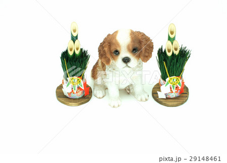 戌年の年賀状 戌年の年賀状 29148461