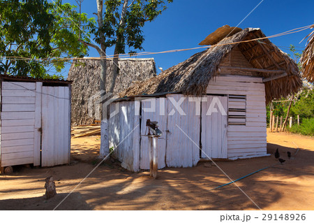Coffee farm in Cuba Coffee farm in Cuba 29148926