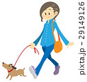 犬の散歩をする女性 29149126