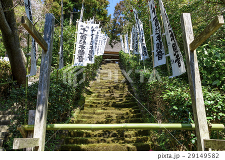 杉本寺 苔の階段の写真素材