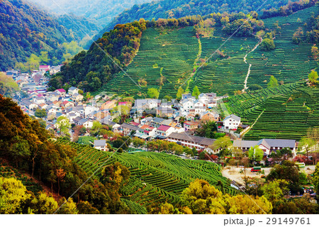 High view of Longjing 29149761