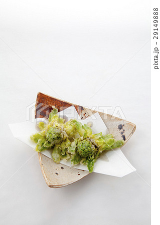 ふきのとうの天ぷら和食器盛りつけ ふきのとうの天ぷら和食器盛りつけ 29149888