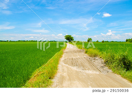 Empty road in the countryside Empty road in the countryside 29150036