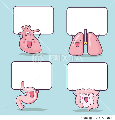different cartoon organs different cartoon organs 29151301