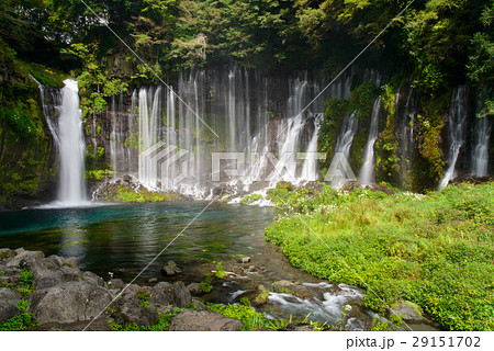 【静岡県】秋の白糸の滝 29151702