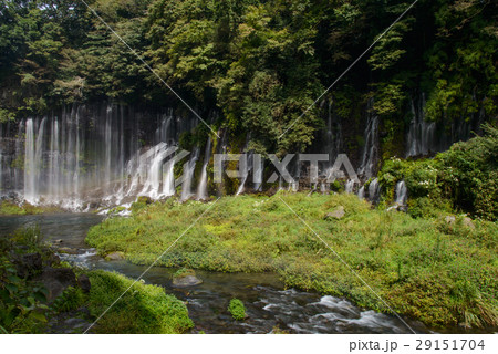 【静岡県】秋の白糸の滝 29151704