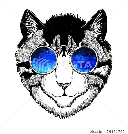 Cool Wild Cat Fashionable Animal Hipster Styleのイラスト素材
