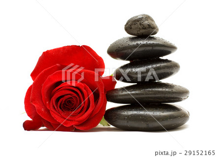 Red rose and spa black stones isolated Red rose and spa black stones isolated 29152165