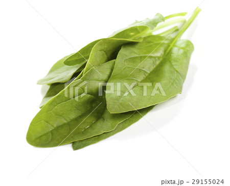 Spinach 29155024
