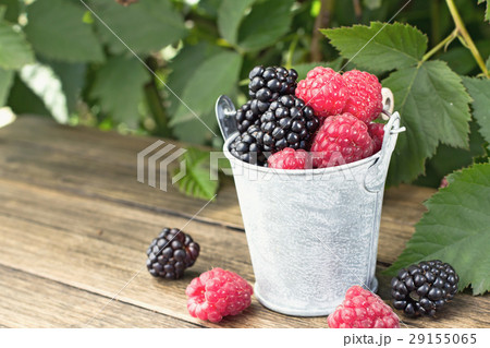 Bucket of blackberry and raspberry 29155065