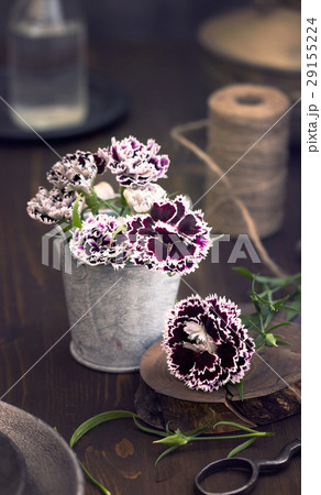 Sweet william flowers on table Sweet william flowers on table 29155224
