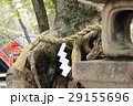 石灯籠としめ縄 29155696