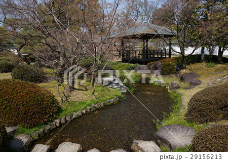 国宝「姫路城」に隣接する日本庭園「好古園（こうこえん）」：流れの平庭 29156213