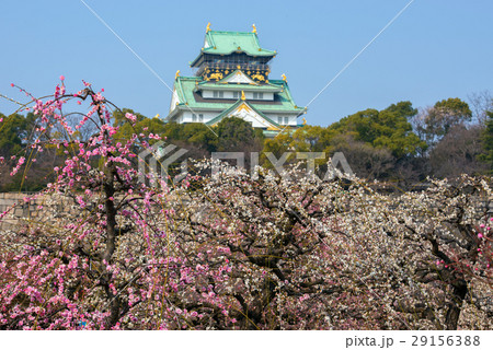 大阪城 大阪城 29156388