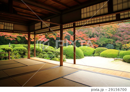 詩仙堂の紅葉 詩仙堂の紅葉 29156700