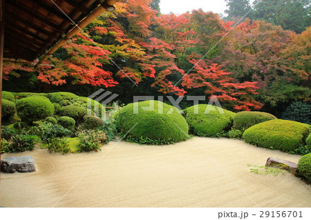 詩仙堂の秋 29156701