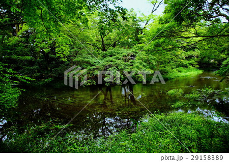 楽寿園 （小浜山） はやの瀬　静岡県 三島市 一番町 29158389