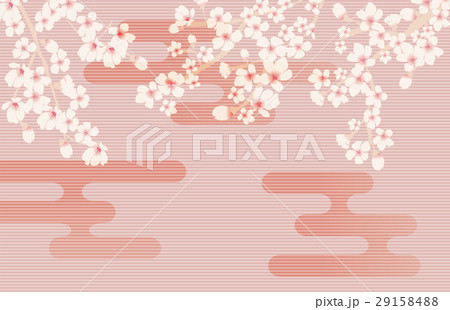 Abstract Floral Sakura Flower Japanese Natural Abstract Floral Sakura Flower Japanese Natural 29158488
