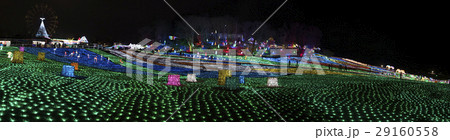 東京ドイツ村 イルミネーション 東京ドイツ村 イルミネーション 29160558