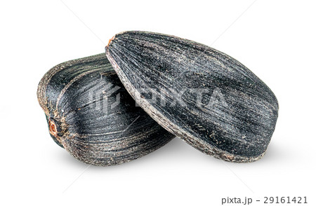 Two pieces of sunflower seeds on each other Two pieces of sunflower seeds on each other 29161421
