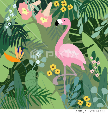 Summer Tropical Background Flamingo Bird Withのイラスト素材