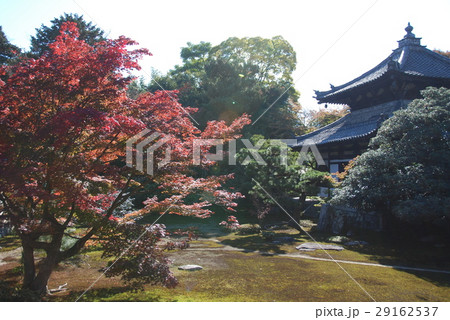 鹿王院の舎利殿と庭園（京都市右京区嵯峨北堀町） 29162537
