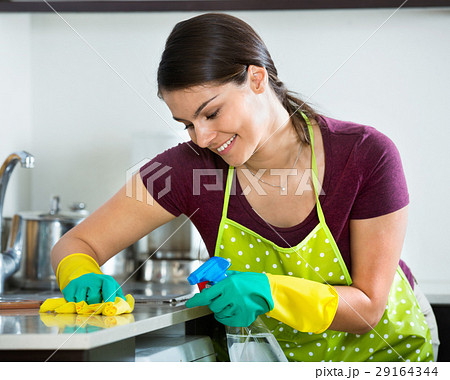 Cheerful beautiful housewife with rag Cheerful beautiful housewife with rag 29164344