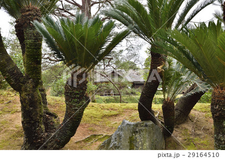 桂離宮 蘇鉄山 桂離宮 蘇鉄山 29164510