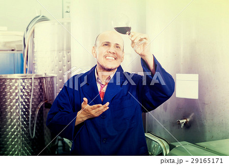 friendly mature man winery worker looking at glass of red wine friendly mature man winery worker looking at glass of red wine 29165171