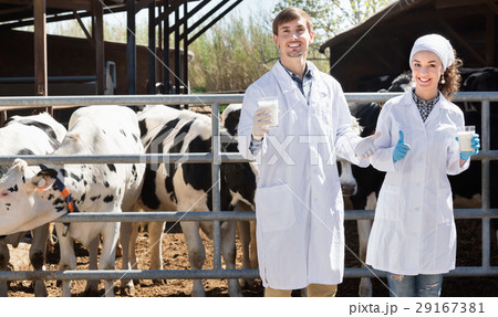 Veterinarians happily standing close to cows on the farm with glass of milk 29167381