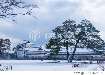 雪の五十間長屋と松 29167593