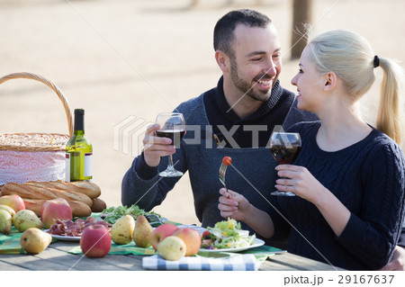 couple drinking wine and talking on picnic 29167637
