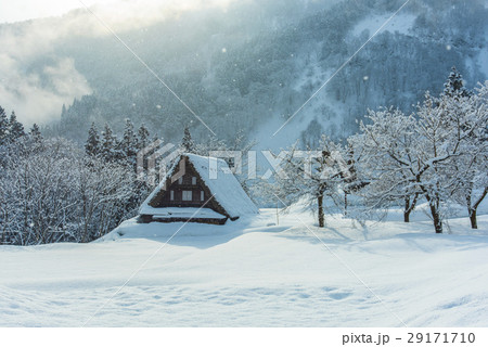 朝の粉雪舞い落ちる相倉合掌造り 朝の粉雪舞い落ちる相倉合掌造り 29171710