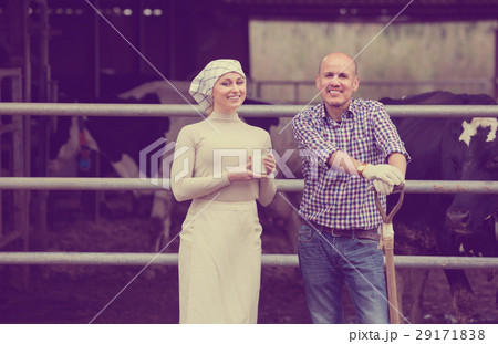 Two farmers in cowshed with glass of milk . Two farmers in cowshed with glass of milk . 29171838