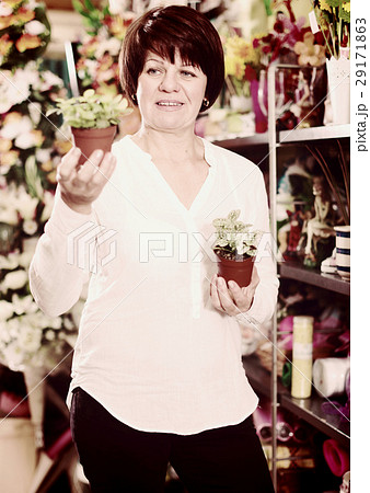 Customer choosing begonia 29171863