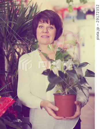 Customer choosing anturion 29172352