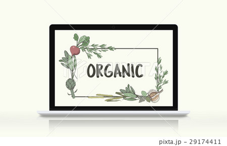 Diet Healthy Natural Recipe Wellness Food Concept 29174411