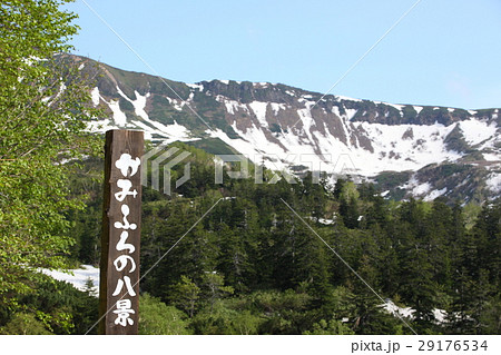 かみふらの八景 旭岳の残雪 かみふらの八景 旭岳の残雪 29176534