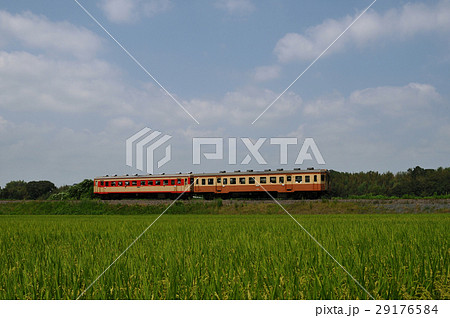 ひたちなか海浜鉄道キハ205 29176584