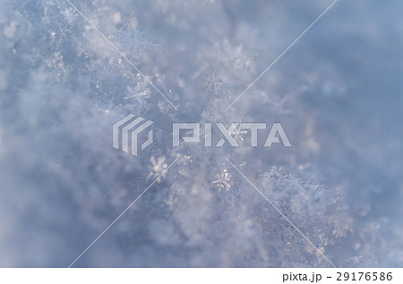 雪の結晶のマクロ写真 29176586