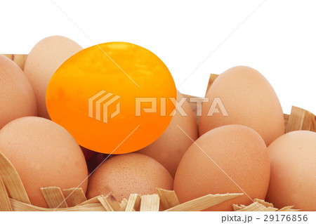 Eggs 29176856