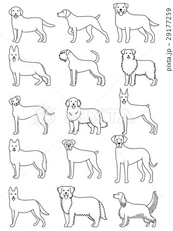 犬の種類 線画のイラスト素材