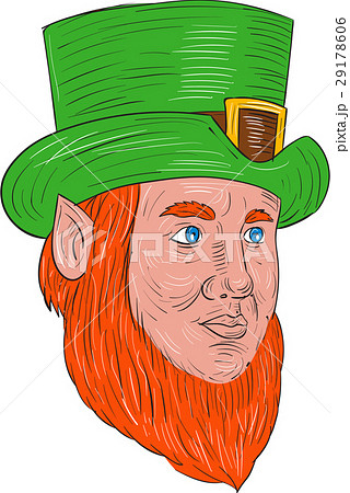 Leprechaun Head Three Quarter View Drawing 29178606
