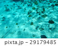 エグズーマ諸島の島々 29179485